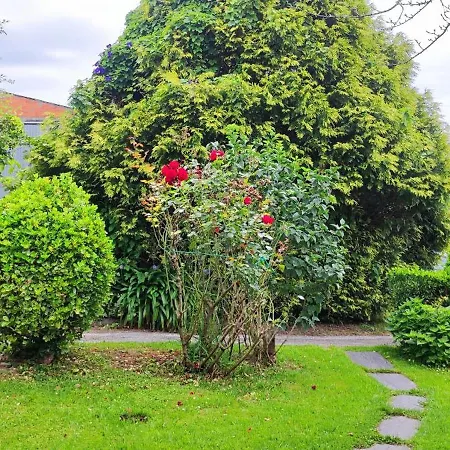 Casa Brais * 바헤이로스