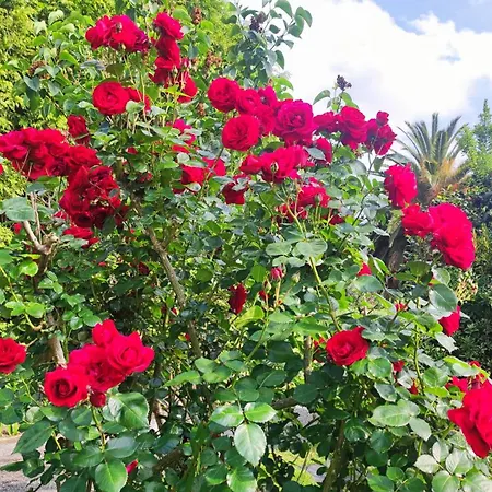 컨트리하우스 Casa Brais 바헤이로스