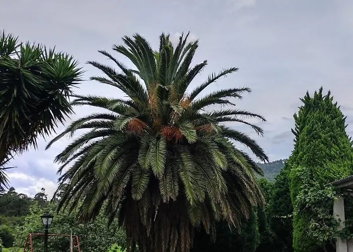 Casa Brais Летний дом Баррейрос