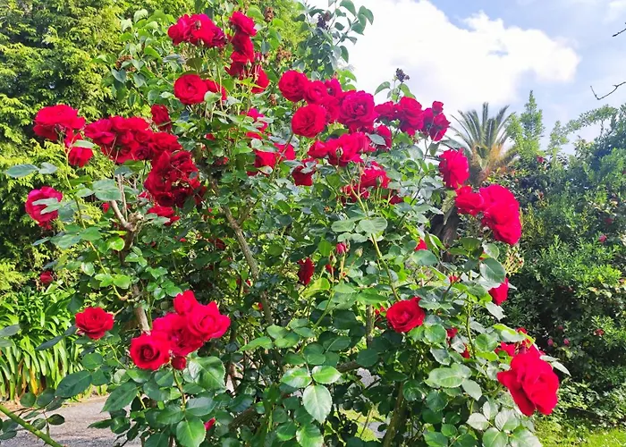 Летний дом Casa Brais Баррейрос