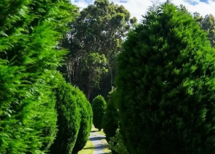 Casa Brais Летний дом