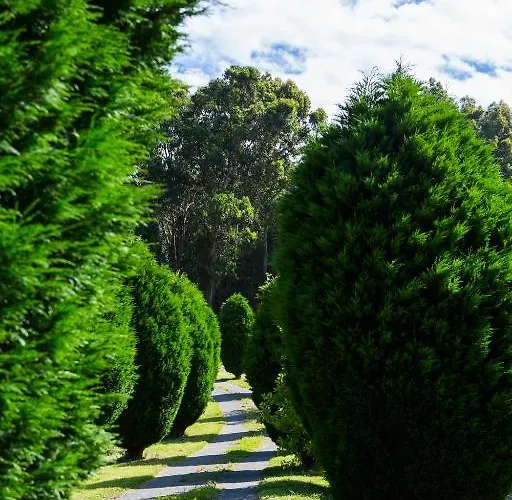 Летний дом Casa Brais *